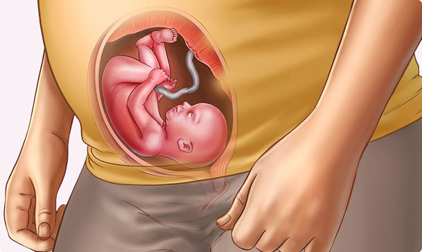 Gebelikte 23. hafta bebeğin görüntüleri
