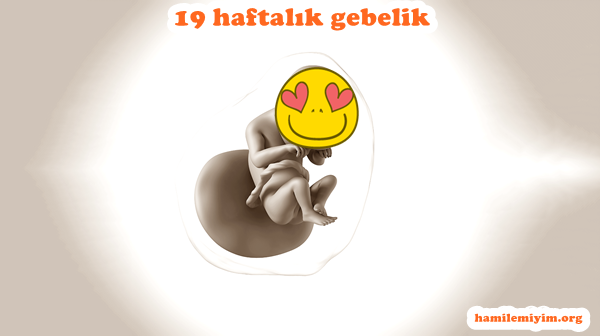 19 hafta gebelik kadınlar kulübü.png
