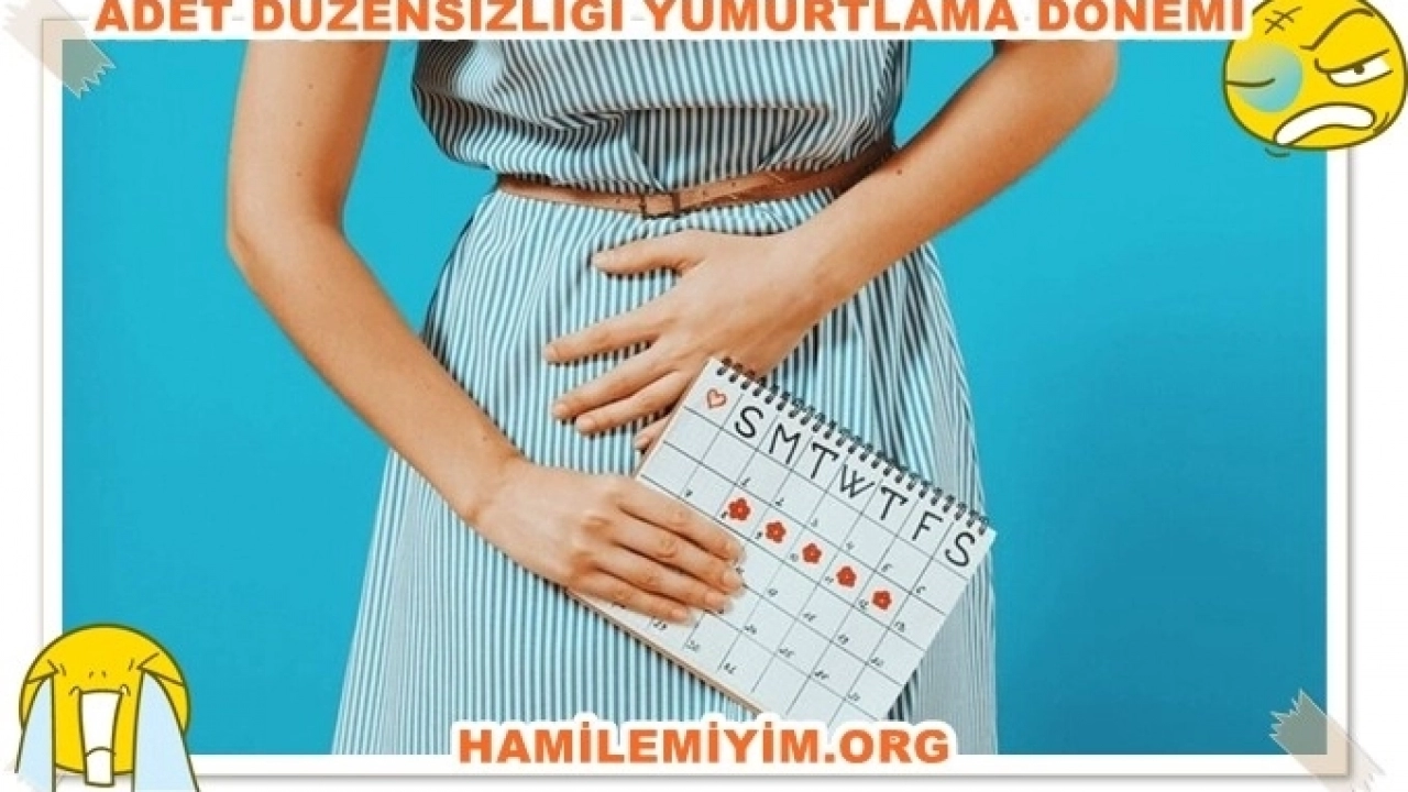 Adet  düzensizliği ve yumurtlama günü hesaplama