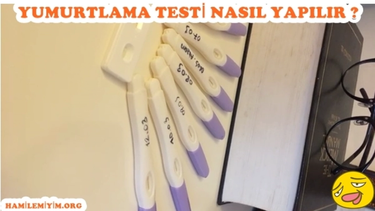 Adetliyken yumurtlama testi yapılır mı tüm cevaplar