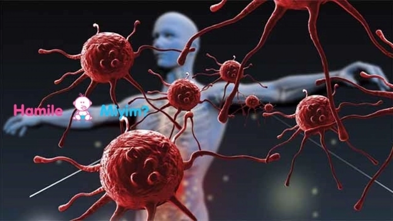 Bağışıklık sisteminin işlevi nedir ?