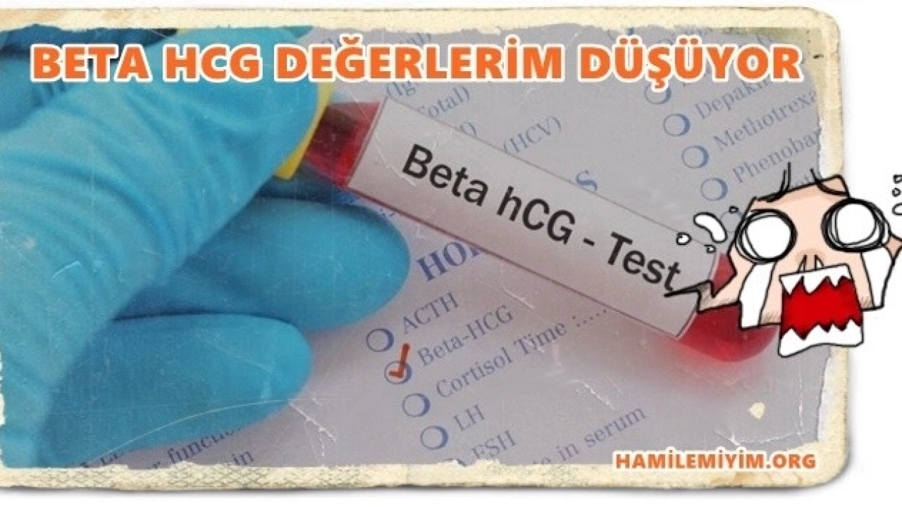 Beta Hcg Değerleri Düşen Kadınlar Burada mı ?