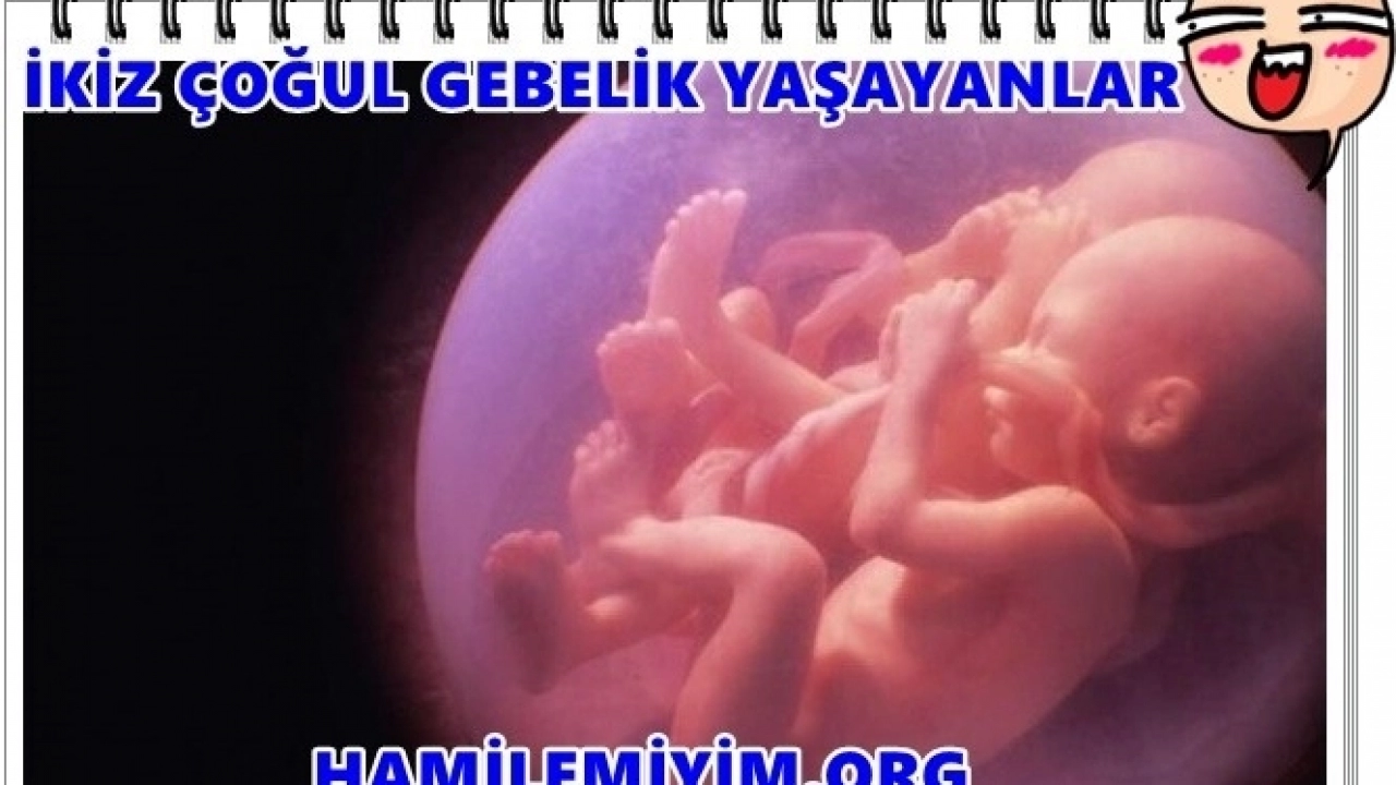 www.hamilemiyim.org