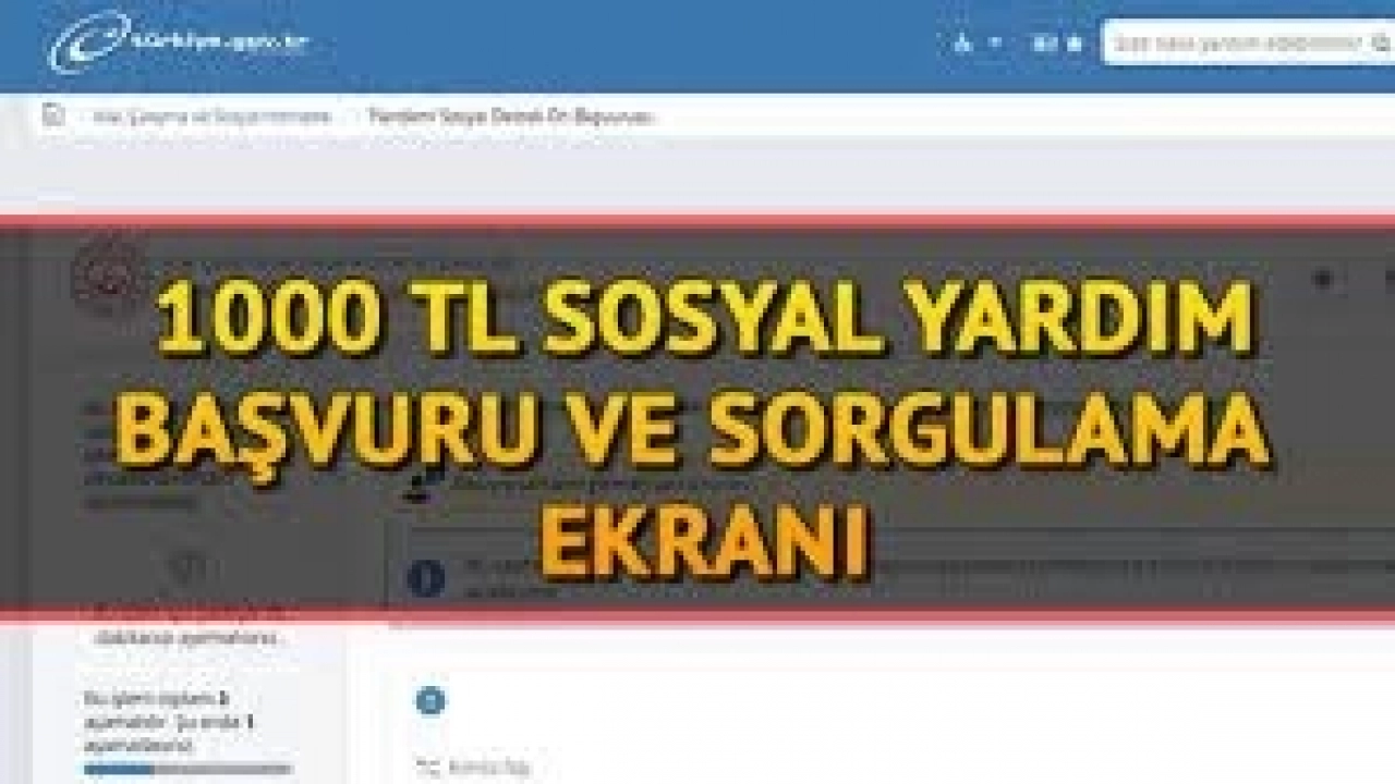 E-Devlet Pandemi Destek Başvurusu Sorgulama İşlemi