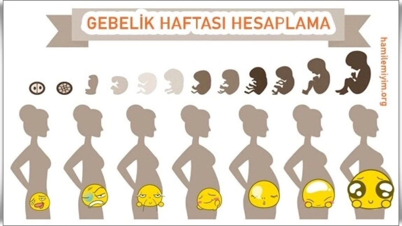 Gebelik hesaplamasında haftam farklı çıkıyor neden?