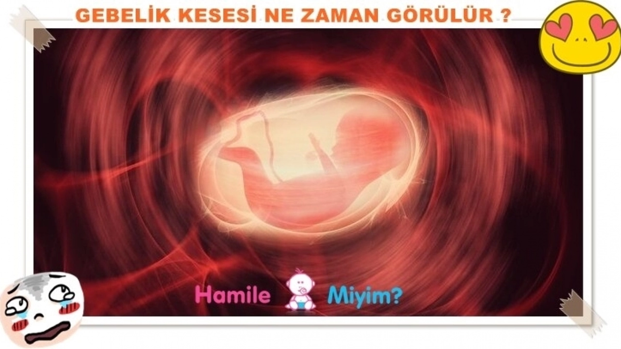 Gebelik kesesi ultrasonda ne zaman görünür ?