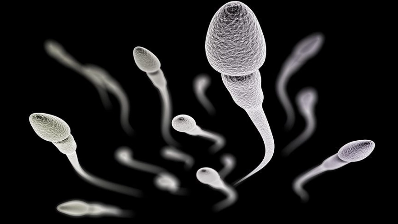 İlişkiden sonra spermin dışarı çıkması akması hakkında bilgiler ?