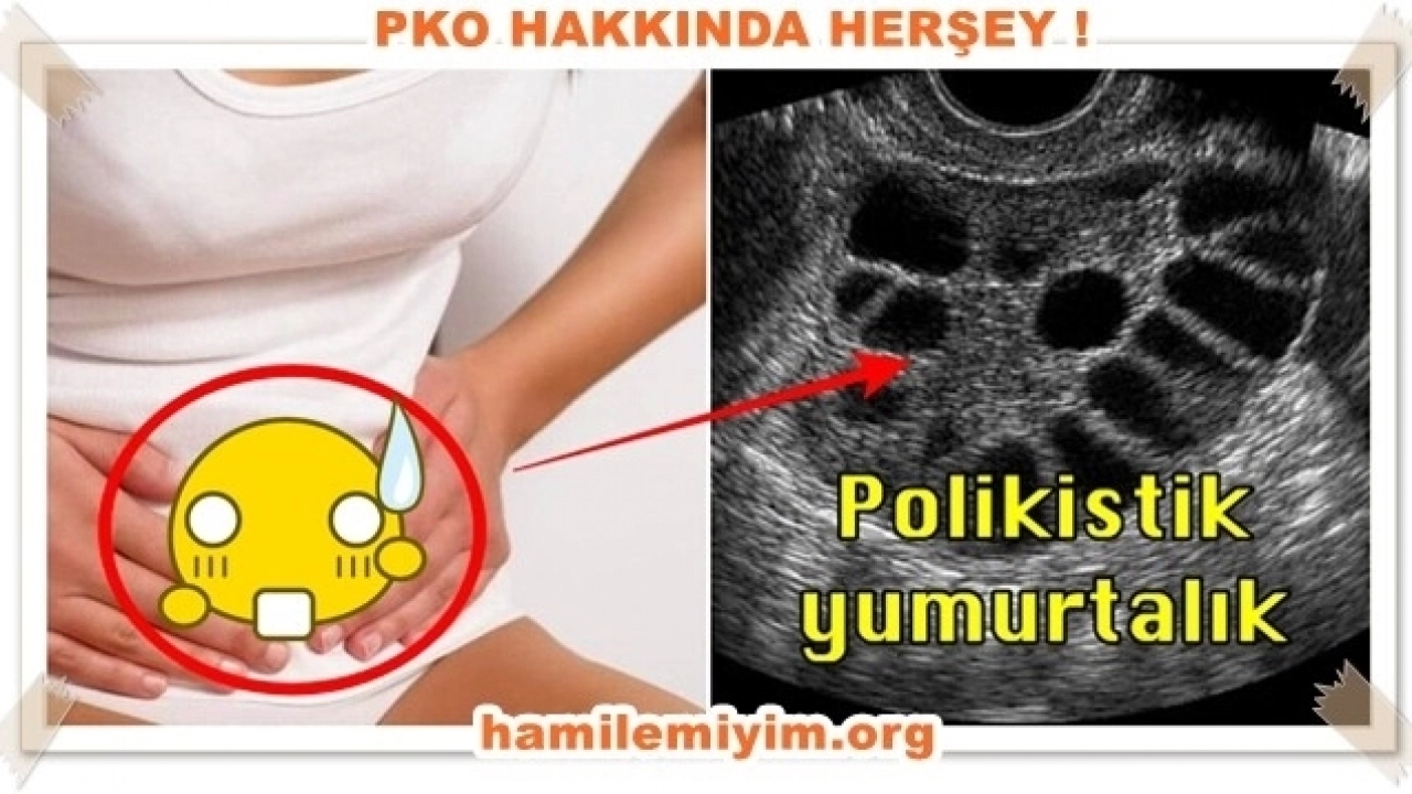 Pkolu Olup Hamile Kalanlar