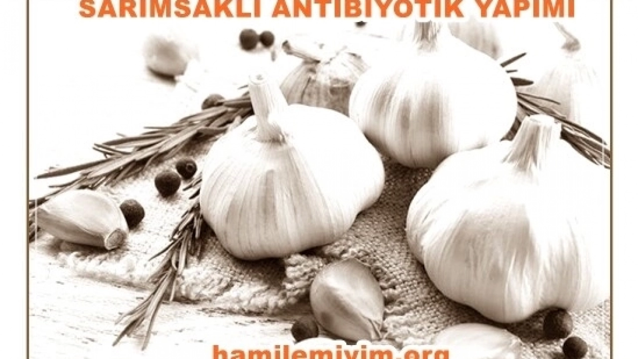 Sarımsak Antibiyotik yapımı