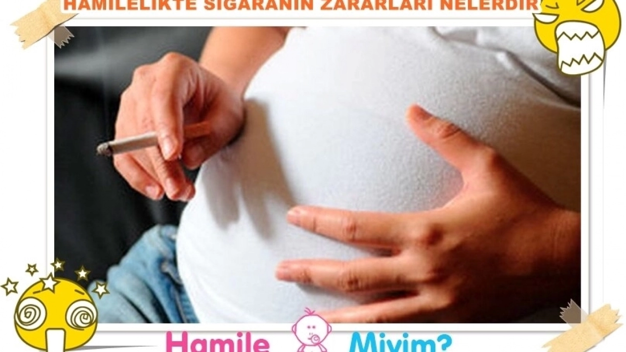 www.hamilemiyim.org