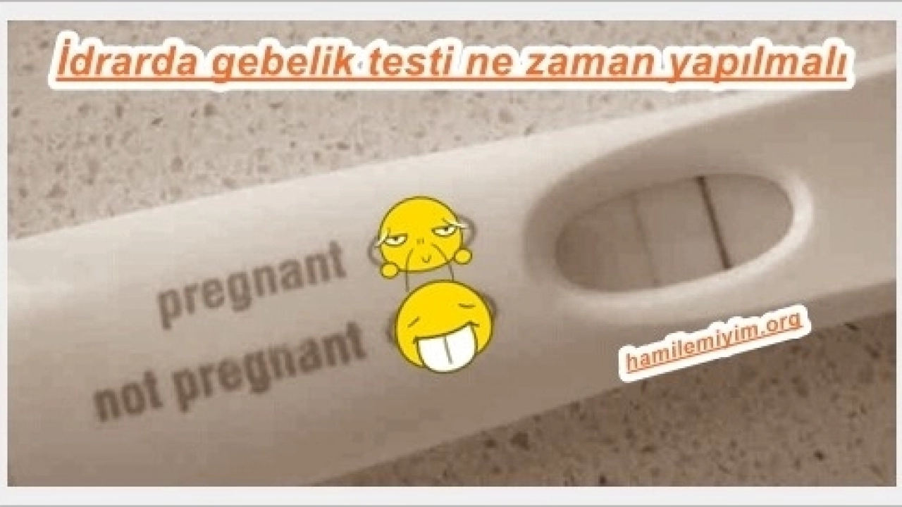 SORU: İdrar testinde hamilelik ne zaman belli olur