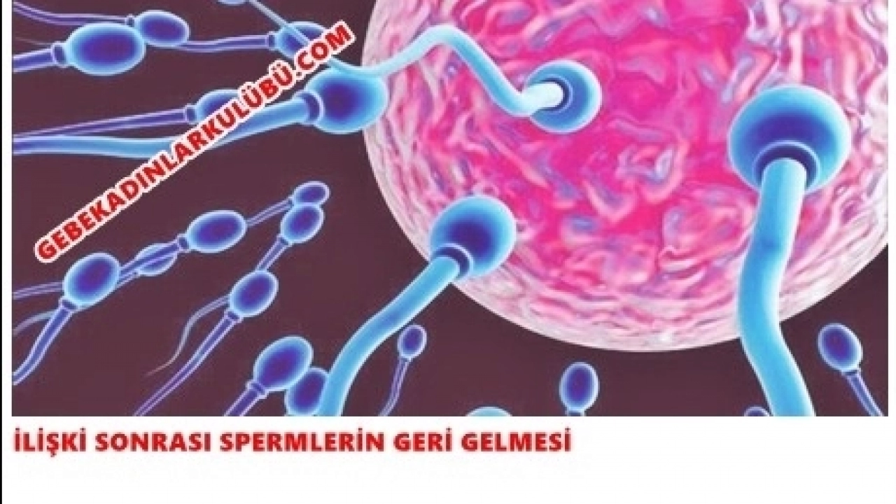 SPERMLERİN VAJİNADAN DIŞARI AKMASI GEBELİĞİ ENGELLER Mİ?