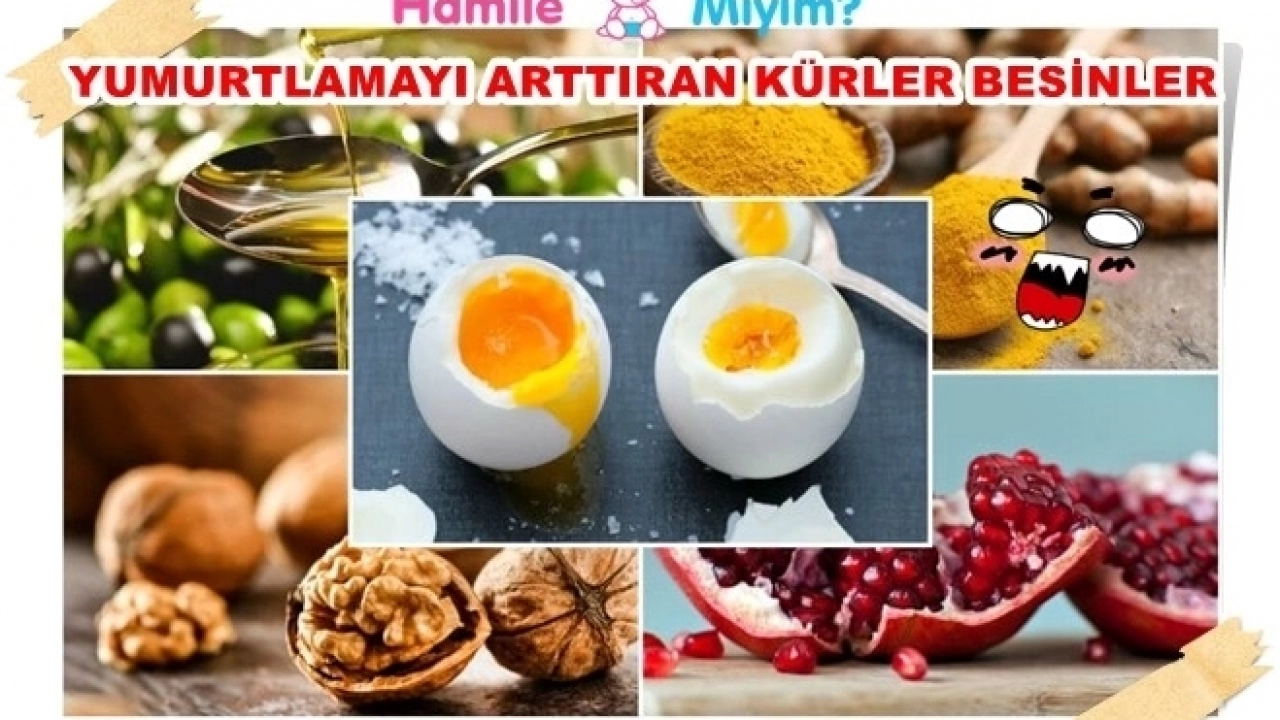 Yumurtlamayı arttırmak için kürler ve öneriler