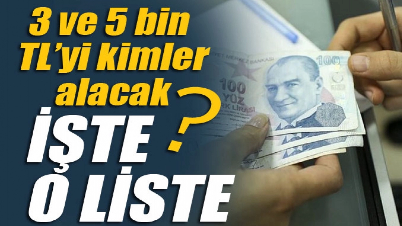 E devlet Esnaf Destek Paketi 5 bin 3 bin kredi başvuru şartları kimler alabilecek ?