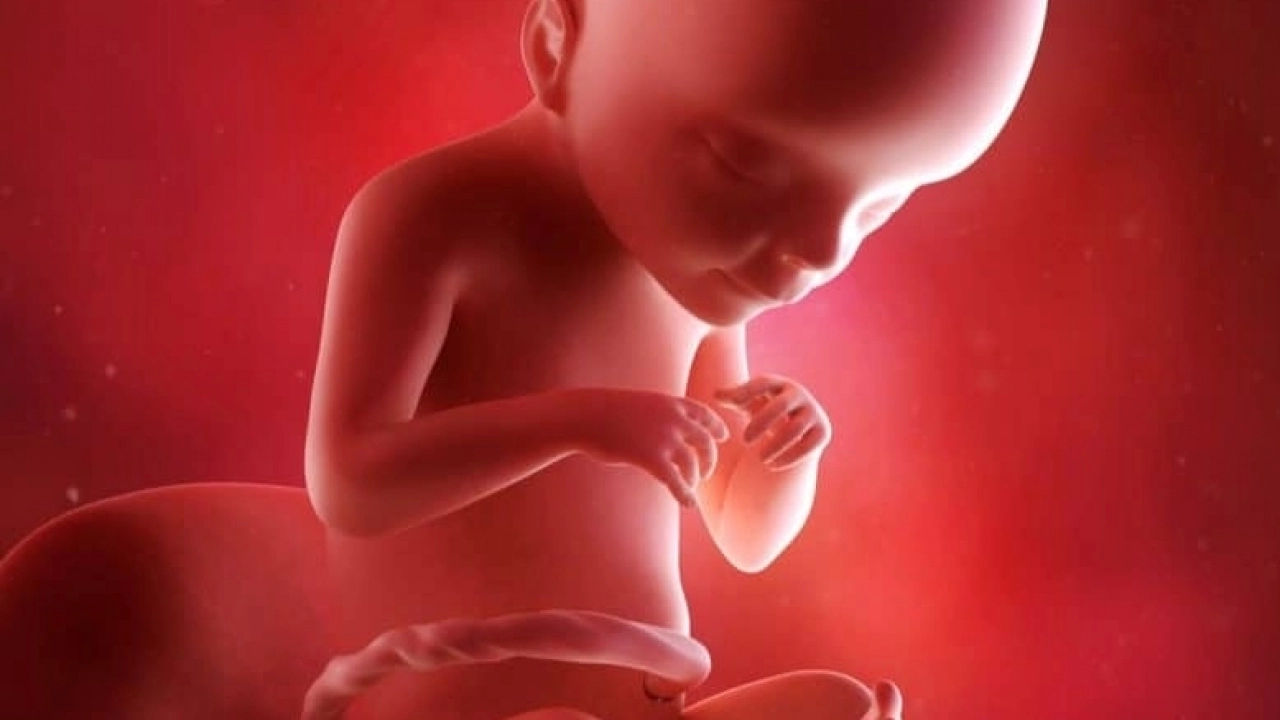 Gebelikte 21.Hafta mide yanması bebek gelişimi bebek kilosu ve diğer bilmeniz gerekenler