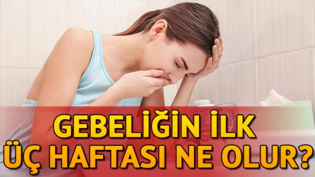 Hamileliğin 1. haftası neler olur kasık ağrısı beta hcg kaç olmalı neler oluyor 