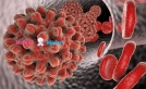 Hepatit B nedir Gebelikte Hepatit B nin zararları nelerdir?