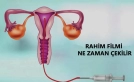 Hsg sonrası hamile kalama oranı nedir ?