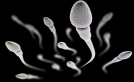 Sperm sayısını kalitesini artıran besinler