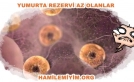 Yumurta rezervi az olanlar ne yapmalı