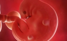  Gebelikte 6. hafta belirtileri hamileliğin 6. haftasında neler oluyor bilmeniz gerekenler