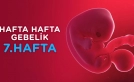 Gebelikte 7. hafta annedeki değişiklikler nelerdir ?