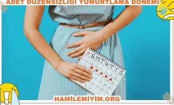 Adet  düzensizliği ve yumurtlama günü hesaplama