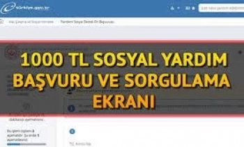 E-Devlet Pandemi Destek Başvurusu Sorgulama İşlemi