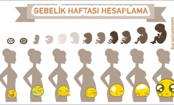 Gebelik hesaplamasında haftam farklı çıkıyor neden?