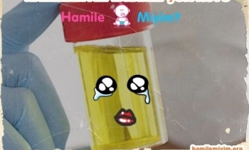 İdrar testinde hamilelik en erken ne zaman belli olur ?