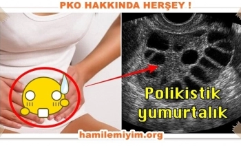 Pkolu Olup Hamile Kalanlar