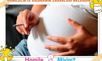 SORU: Hamilelikte Sigara İçmenin Zararları Nelerdir