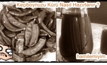 Sperm kalitesini arttıran kürler ( Keçiboynuzu ) Kürü