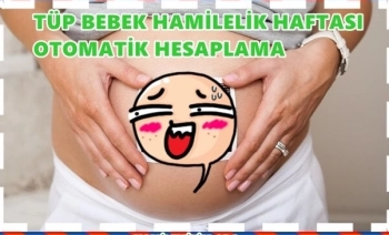 Tüp Bebekte Hamilelik Haftası Hesaplama