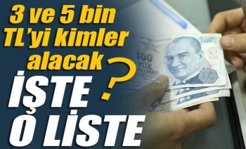 E devlet Esnaf Destek Paketi 5 bin 3 bin kredi başvuru şartları kimler alabilecek ?