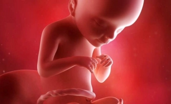Gebelikte 21.Hafta mide yanması bebek gelişimi bebek kilosu ve diğer bilmeniz gerekenler