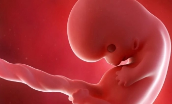 Gebelikte 8. Hafta belirtileri hamileliğin 8 haftasında bilmeniz gerekenler