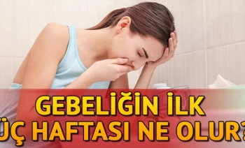 Hamileliğin 1. haftası neler olur kasık ağrısı beta hcg kaç olmalı neler oluyor 