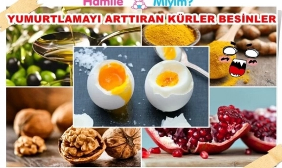 Yumurtlamayı arttırmak için kürler ve öneriler