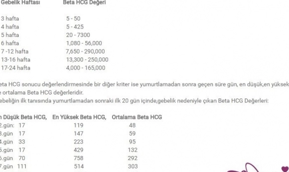 2 3 4 haftalık gebelikte beta hcg değeri