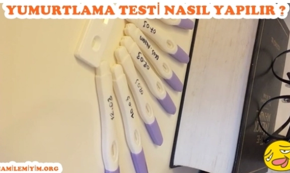 Adetliyken yumurtlama testi yapılır mı tüm cevaplar