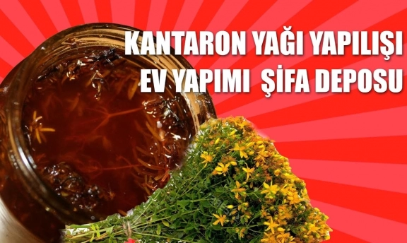 Kantaron yağı nasıl yapılır kendin yap her şeyde kullan