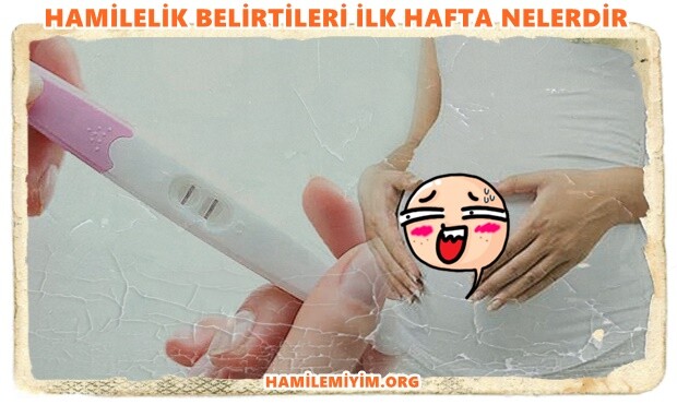 www.hamilemiyim.org