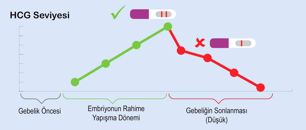 kimyasal gebelik beta hcg değerleri