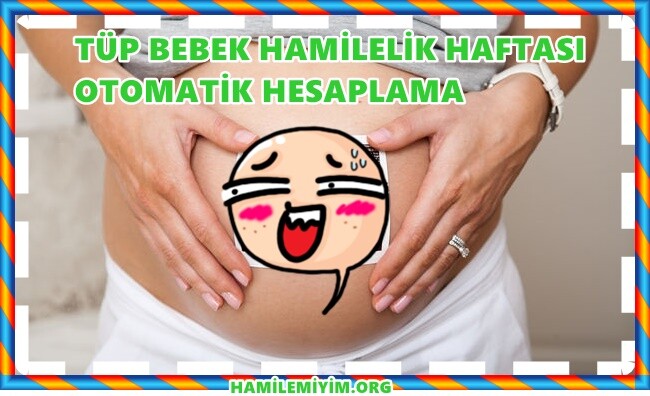 tüp bebek hamilelik haftası hesaplama
