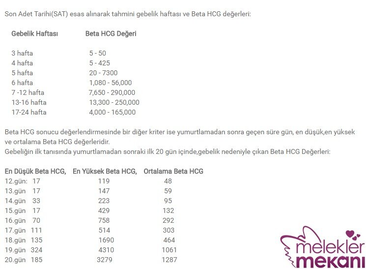 1-2-haftalık-gebelikte-beta-hcg-bhcg-değerleri-kaç-olmalı