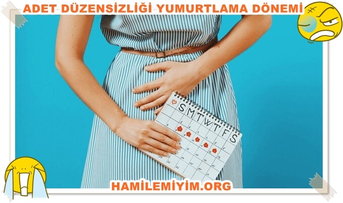 adet düzensizliği yumurta hesaplama dönemi