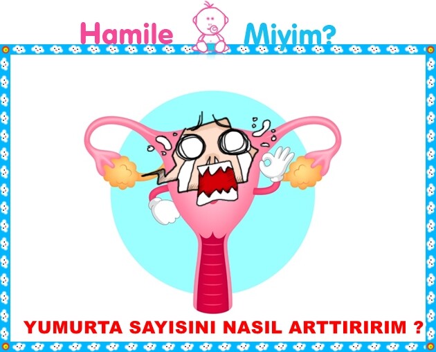 Yumurta sayısı nasıl artırılır ? Kadınlar Kulübü Hamilemiyim